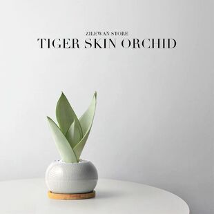 Ƥm辰҃ȾGֲԃ՚͏d[ļBֲ