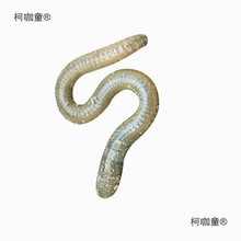 ������r��������S�X����ش�����������������~����̫��