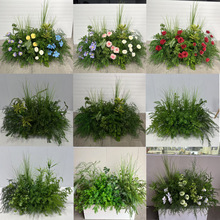 ɭϵ�����J���ݵ��Ż��컨·�������û�Y�b�ӆ�����Y�黨�F�z