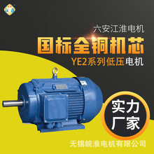 六安江淮电机厂家直销YE2系列标准三相异步电动机高效节能