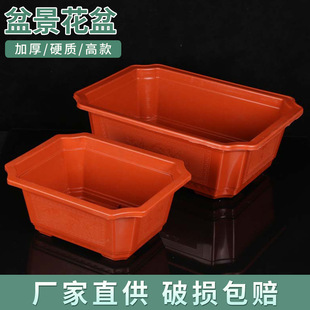 �������ϼӺ��L�����辰��S�����l��̖���ԷN�����������Nֲ��