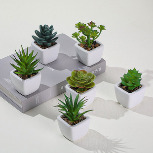 Mini Cute Artificial Succulent Potted Plant for Indoor Desktop Decoration with Pot for Internet Celebrity Photography