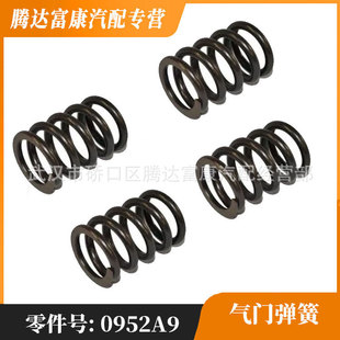 �m��춘��� ѩ�F�� DS  ���y����  0952A9 095297