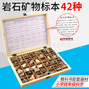 Mineral rock fossil specimen primary school science geography supporting science popularization display teaching instrument rock mineral