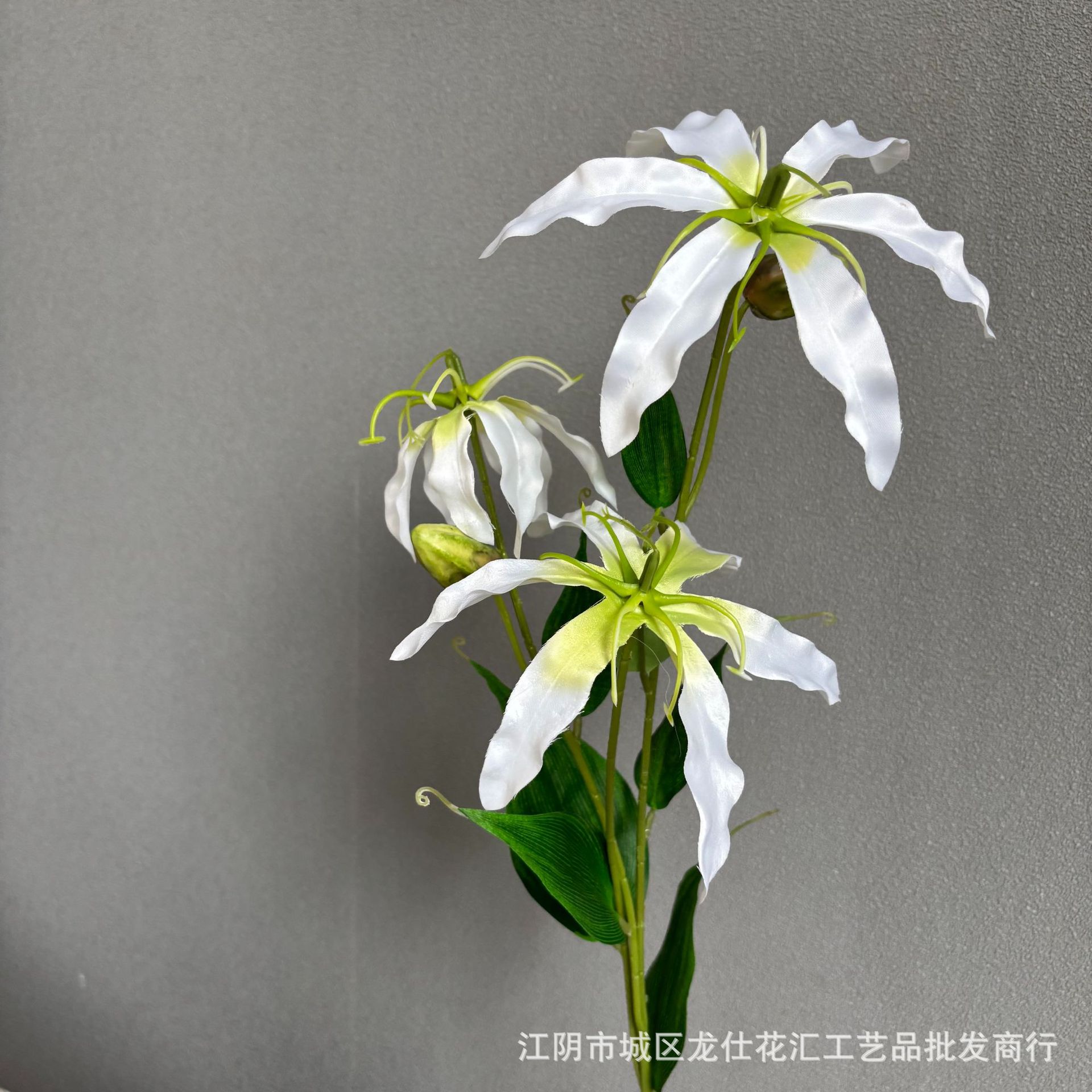불꽃 백합 오리지널