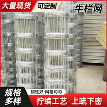 定制热镀锌草原牛栏网拦牛羊圈地果园防护网钢丝网防锈养殖围网