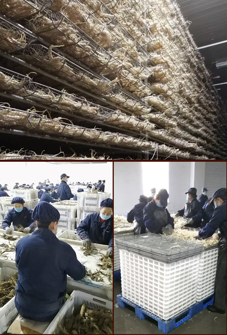 Unsweetened Red Ginseng Slices Changbai Mountain Large Sliced Dried Ginseng Root for Cooking and Tea key features