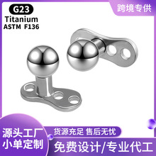 G23�⁺Ͻ��A�^�i����������Ƥ�wᔼ�����w�����Ʒ
