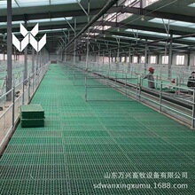 S ©S ɽȦOS兢ҎDƬ