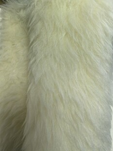 50%��ë�L�� 35mm��������ë����ëƤ Ů�b�����Ƥ������