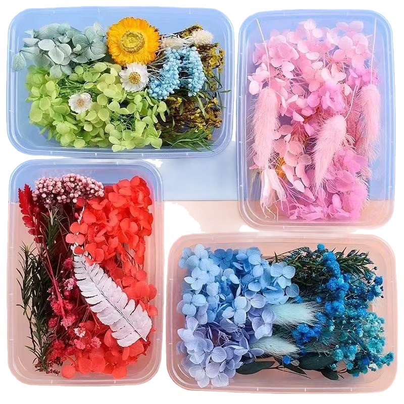 Paquete mixto de bricolaje, decoración hecha a mano, flor eterna, material de paquete de flores secas, marco de fotos de bricolaje, paquete de flores en relieve, día de la mujer