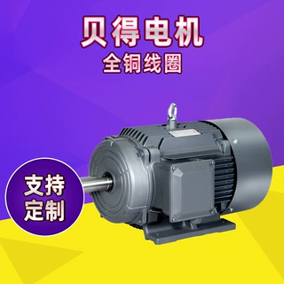 西门子贝得电机1TL0004系列铸铁低压三相异步电机厂家直供