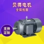 贝得西门子三相低压电机