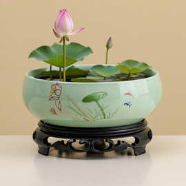 新款水培花盆陶瓷植物盆栽铜钱草碗莲水养无孔多肉花盆带托盘高档