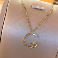 国境を越えた欧米の新商品は星の月のネックレスの女性の精緻な大衆の設計の豪華さを満たして簡単にダイヤモンドのペンダントを入れます。