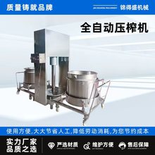 食品加工直压式100吨压榨机米酒果酒液压压榨设备 提纯液压压榨机