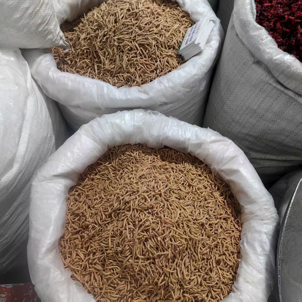 Taizishen Pseudostellaria Root Powder 500g Guizhou Hairy Greenbrier Child Ginseng Sun Dried No Sulfur quality and texture