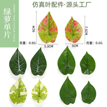 �����ɫ�G�}��Ƭ�Gֲ�Ҿ��b�ֲ��řڻ��۸���廨���ݾG�}