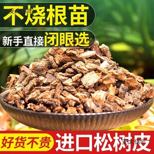 �l�͉Kֲ��ʯ���¼��ɘ�Ƥ�I�B�������m��������[�m���m����̫��