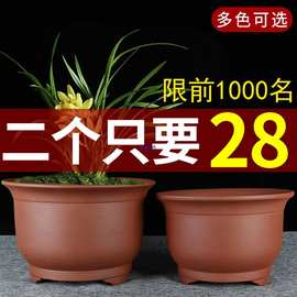 宜兴特大号紫砂兰花盆盆景君子兰绿萝陶瓷陶盆阳台种菜盆