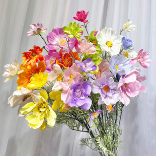 ��֧��ʺ�˹�� ��ɣ�����·��滨�Ҿ����Q������c��Y���滨