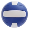 Volleyball No. 5/Blue and White