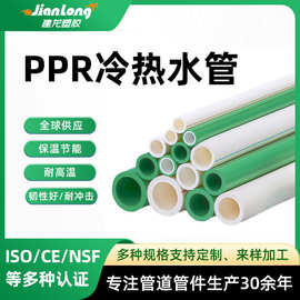 工厂加工PPR供水管 聚丙烯水管耐高温热流速快白色PPR水管