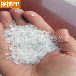 Branch Extension PP Malai Sour Branches, High Gloss and High Branches, Low Smell, Polypropylene Phrasion, Toughener