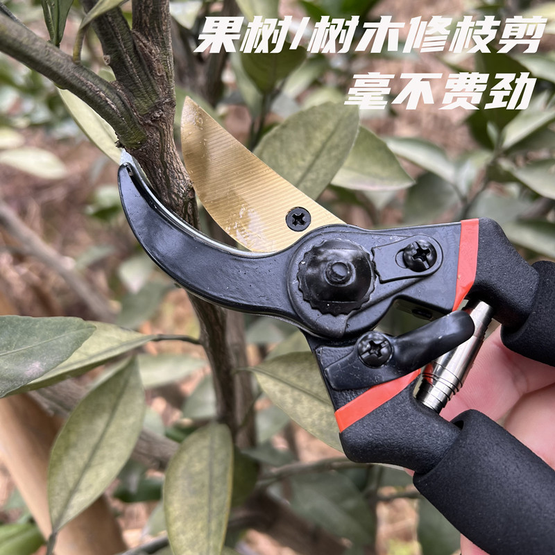 新款批发黑色省力修枝剪园艺园林剪果树剪枝海绵柄修树剪子花艺剪