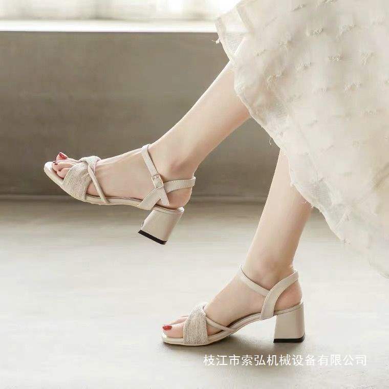 Fairy Style Sandals for Women 2025 New Summer Thick Heel High Heels Women's Fashion One-Line Strap Versatile Casual Work Shoes
