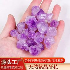 天然紫水晶の歯の花の砂利の鉱標水晶の原石の香薫の拡香石の消磁石の水槽は水晶を飾ります。