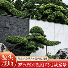 �tľ�����M���_�h���辰ͥԺ���^�Gֲ�^�~ֲ���ļ��������