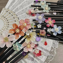 2026���¿�l�O���ӱP�l�߼���Ů����ʽ�l���Շ��Ќm͢�L���L�Ʒ