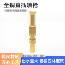 家用全铜直插喷枪可调节浇花灌溉直喷枪园林花园洗车喷水枪