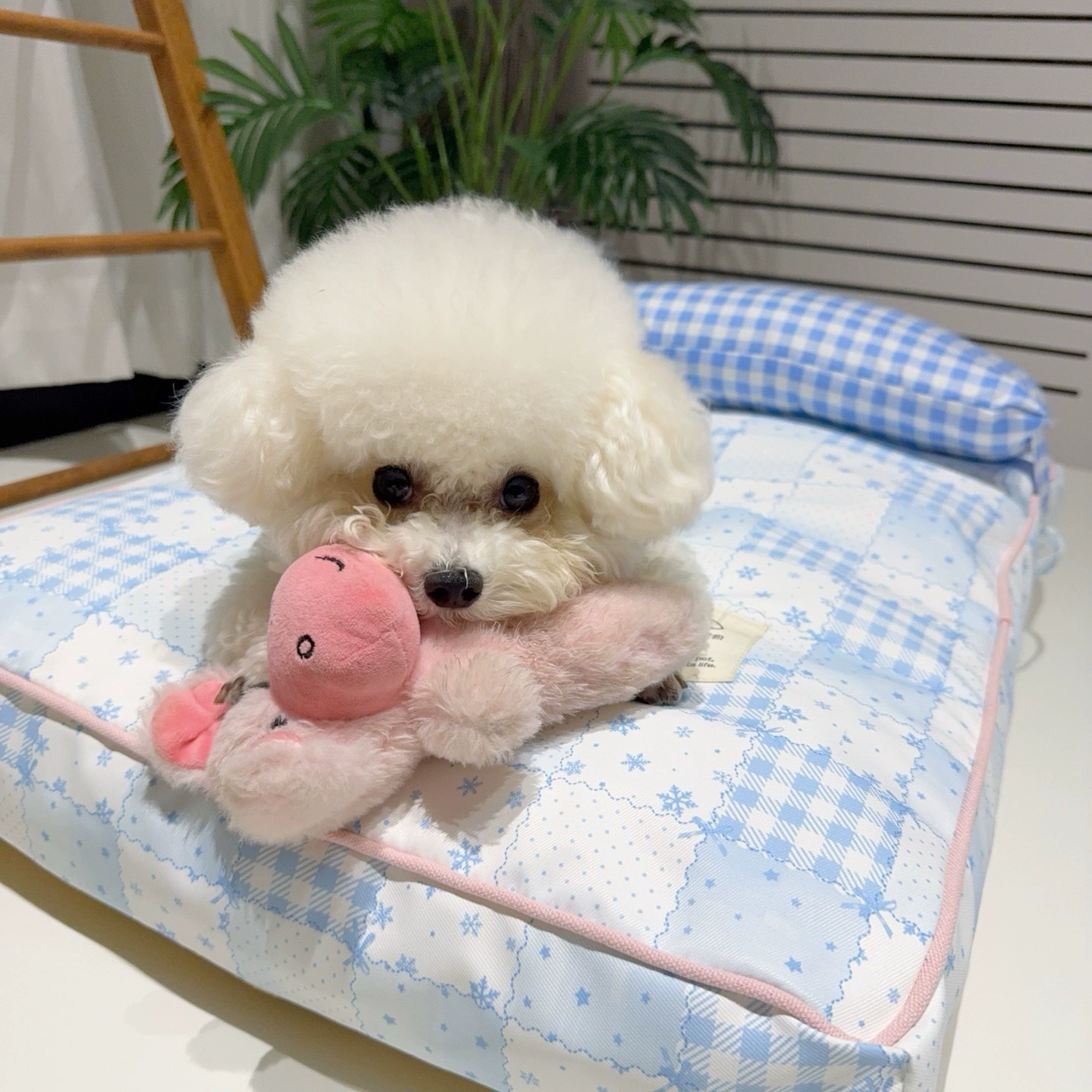 Лежанка для питомца, съемная и моющаяся кровать-принцесса с подушкой, удобная и нежная к коже, всесезонная водоотталкивающая кровать