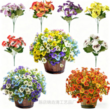 �S�����l���滨�ȼ�����ɫ������c���Ż��b����m����ٻ�