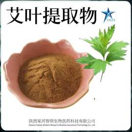 艾叶提取物10:1-100:1规格星河智研现货供应艾草叶提取物原料艾草