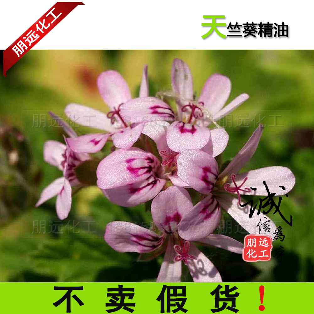 批发芳香原料 单方天竺葵精油 穷人的玫瑰 护肤品原料