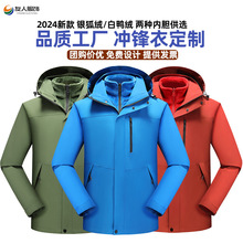 Ʒ�|�_�h������һ����đ�ﶬ������b����ˮ�y���q��đ