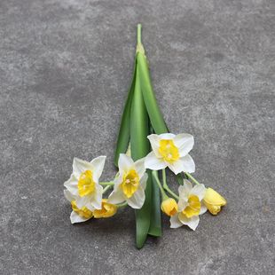 �S��2����~����ˮ�ɻ� �Ҿӿ͏d����DIY�b���ˮ�ɼҾӔzӰ�b�