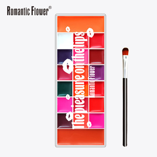 For cross-border foreign trade export 20 colors lip gloss waterproof sweat-proof blush eye shadow all-in-one makeup plate matte makeup