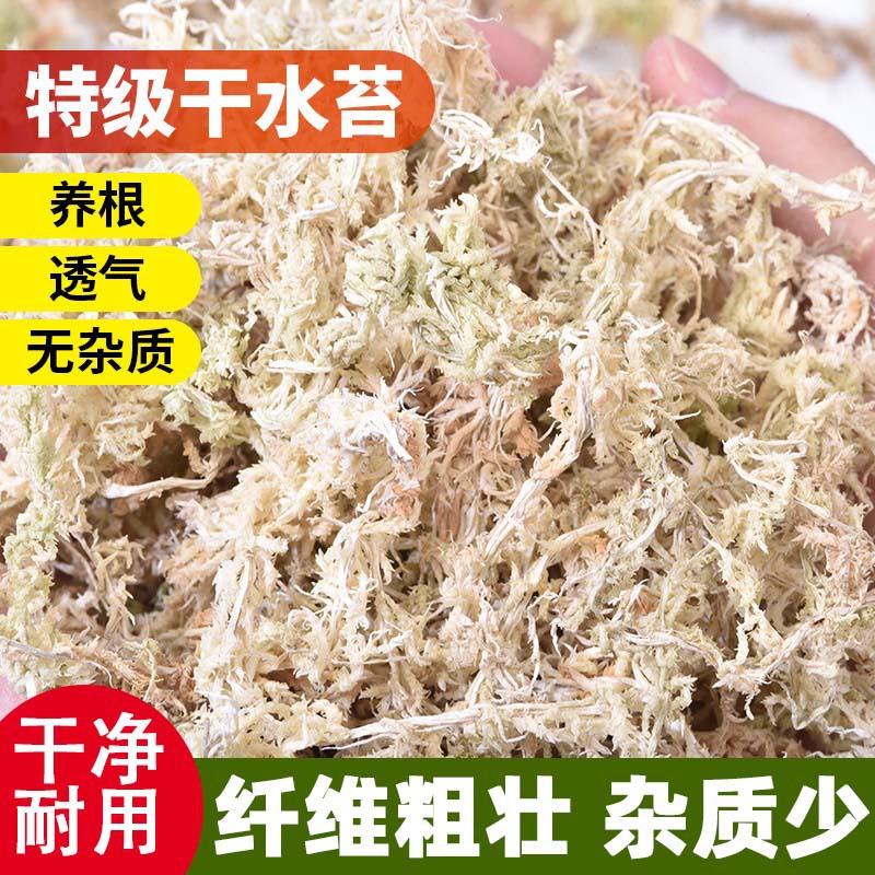 Dried Sphagnum Moss Specifically for Phalaenopsis Orchids, Natural Dried Moss, Dendrobium Orchid Nutrient Soil, Planting Medium for Potted Plants