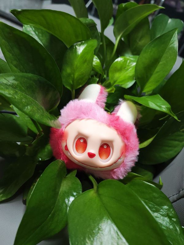 搪胶毛绒头型挂件拉布布包包挂饰钥匙扣丑萌创意摆件批发创意挂件|undefined