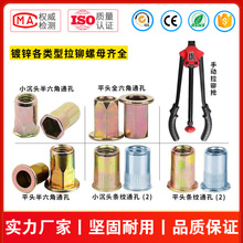 ���T��ĸƽ�^���^������ȫ�����T��ĸM3M4M5M6M8M10M12Ҏ���Rȫ