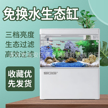 小鱼缸小型桌面创意造景套餐生态缸微景观免换水斗鱼缸迷你水族箱