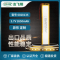 UFX聚合物锂电池 衣架灯 6028135 2650mAh 3.7V