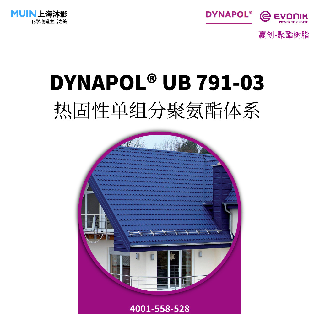 DYNAPOL UB 791-03 聚酯树脂 |赢创 热固性单组分聚氨酯体系