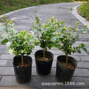 �����͹P�������������҃��̨�͏d�ΰꪚ�U�P�����򻨻��ܾGֲ