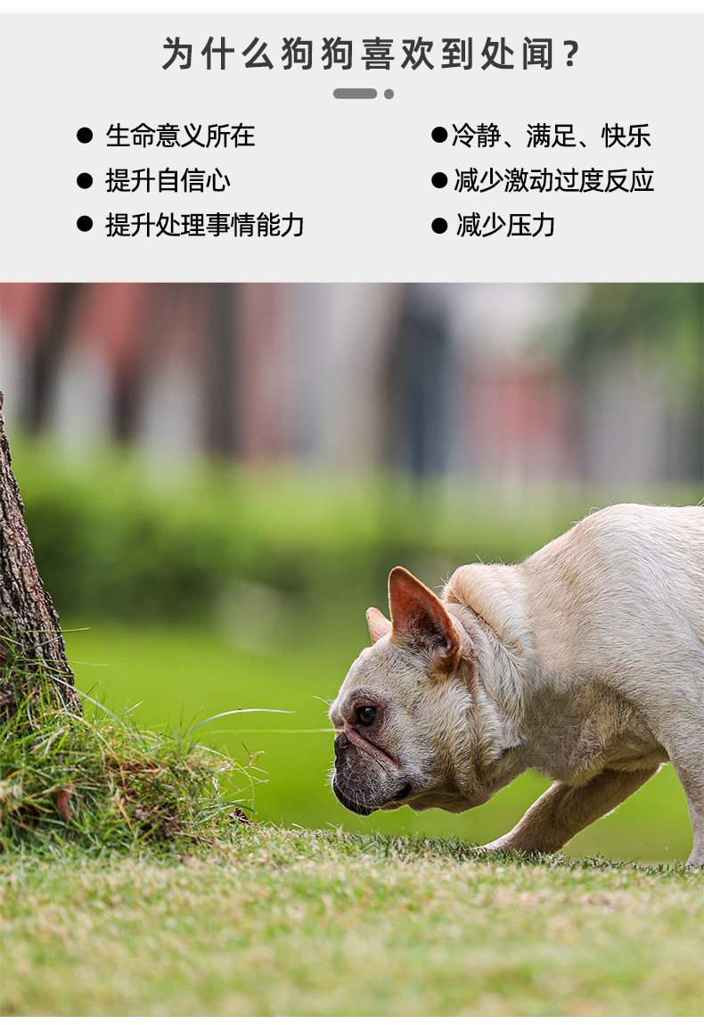 PD60112鳄鱼嗅闻玩具_03.jpg