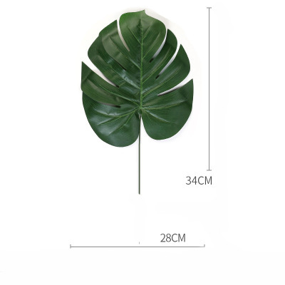 Gran hoja de tortuga verde